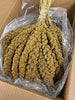 Birds LOVE Spray Millet Non-GMO for Birds Cockatiel Lovebird Parakeet Finch Canary All Parrots Healthy Treat - BESTMASCOTA.COM