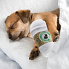 Haute Diggity Dog Starbarks Coffee Collection | Juguetes para perros de peluche chirriantes únicos – Cafeína canina que tu perro puede manejar. - BESTMASCOTA.COM