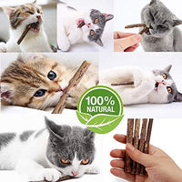 WoLover Cat Catnip Sticks Natural Matatabi Silvervine Sticks – Limpieza de dientes Molar Herramientas Gatito Gato Masticar Juguete Natural Catnip Ratón Gato Juguete - BESTMASCOTA.COM