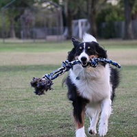 Juguete de cuerda para perros XL para gafas de huéspedes – pelota grande para perros grandes y medianos – Beneficios no resistentes al rescate de perros – Gran cuerda de poliéster para perros con salud dental – 100% algodón de cuerda de juguete para perro - BESTMASCOTA.COM