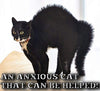 Mascota MasterMind Cat Spray - BESTMASCOTA.COM