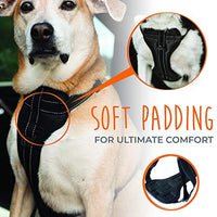 Arnés de seguridad para vehículo para perro Mighty Paw, con correas acolchadas ajustables, sirve como arnés para pasear el perro con su amarre para correa. - BESTMASCOTA.COM