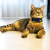 Collar de gato con lazo y campana para gato, ajustable, para mascotas y gatos. - BESTMASCOTA.COM