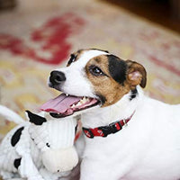 HuggleHounds - Juguete de peluche chirriante para perros con nudos para masticadores agresivos - BESTMASCOTA.COM