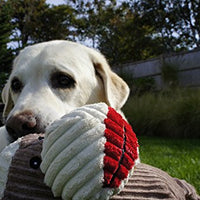 HuggleHounds - Juguete de peluche chirriante para perros con nudos para masticadores agresivos - BESTMASCOTA.COM
