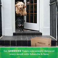 Greenies Original Regular Dental Dog Treats - BESTMASCOTA.COM