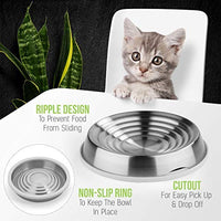 CatGuru - Recipiente para comida de gato, sin estrés, para aliviar la fatiga, plato ancho para gatos, cuencos antideslizantes para alimentar gatos, cuencos de comida para gatos poco profundos, cuencos antideslizantes para gatos - BESTMASCOTA.COM