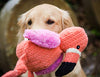 HuggleHounds - Juguete de peluche chirriante para perros con nudos para masticadores agresivos - BESTMASCOTA.COM