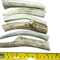 6 Paquetes, pequeño 4 pulgadas a 5 pulgadas todo Natural cuerno de ciervo masticable para perro, marca WhiteTail Naturals - BESTMASCOTA.COM