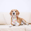 6 piezas de bandanas para perro con estampado de cuadros, estilo de flamenco de selva, bufanda ajustable lavable para mascotas - BESTMASCOTA.COM