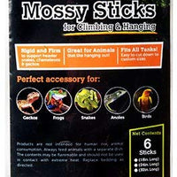 Galápagos (05320) Mossy terrario de incienso (6 Pack), 18" - BESTMASCOTA.COM