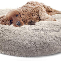 SportPet Designs - Cama impermeable de lujo para mascotas, lavable a máquina, colección de sofás y camas - BESTMASCOTA.COM