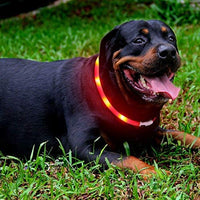 Collar LED para perro, recargable por USB, collar brillante para perro, cuello iluminado, mejora la seguridad y visibilidad de la mascota en la noche, 3 modos intermitentes, resistente al agua, collar iluminado para perros pequeños y medianos grandes - BESTMASCOTA.COM