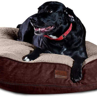 Floppy Dawg cama para perro extragrande con funda extraíble y forro impermeable. Fabricado para perros grandes de hasta 100 libras y más. Tamaño Jumbo 48 x 30 y relleno de 8 pulgadas de alto con piezas de espuma viscoelástica. - BESTMASCOTA.COM