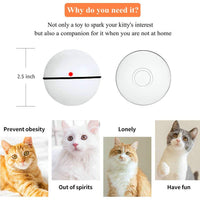 Pakoo Juguete interactivo para gato, juguete de gatito con ruedas automático, bola de movimiento recargable por USB, luz LED giratoria con función de temporizador, el mejor regalo para tu gatito - BESTMASCOTA.COM