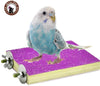 Colorido soporte para perca de pájaro, plataforma de madera natural para parque de recreo, molienda de patas, limpieza para mascotas, loros, parakeet, cacatías, conure Lovebirds - BESTMASCOTA.COM