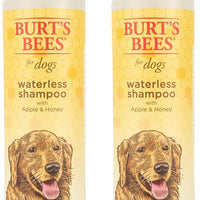 Burt's Bees - Champú natural sin agua para perros - BESTMASCOTA.COM