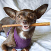 Pawstruck Mini Bully Sticks para perros pequeños y cachorros – Natural Bulk Dental Treats para razas de juguete, carne de vacuno en miniatura mejor bajo olor Pizzle Stix masticar en primavera, trenzas, pesas - BESTMASCOTA.COM