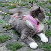 worderful malla gato arnés con correa para mascotas arnés Juego gato caminar chaleco para gatito - BESTMASCOTA.COM