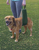 All Seasons Arnés elevador para perro para cirugía postoperatoria de piernas débiles traseras - BESTMASCOTA.COM