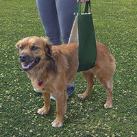 All Seasons Arnés elevador para perro para cirugía postoperatoria de piernas débiles traseras - BESTMASCOTA.COM