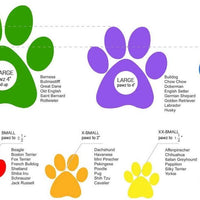 Pawz Botas para perros, impermeables, XS, Anaranjado - BESTMASCOTA.COM
