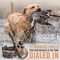 SportDOG Brand 425 - Collar electrónico con control remoto (500 yardas, estático, vibratorio y tono, impermeable, recargable, incluye nueva serie X) - BESTMASCOTA.COM