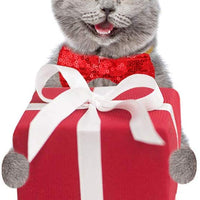 Gejoy - Juego de 12 juguetes de Navidad para gatos, incluye bolsa de cordón de Navidad, collar de gato, bola arrugada, caramelo, juguete giratorio rojo, árbol de Navidad de felpa, caña de gato - BESTMASCOTA.COM
