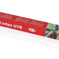 REPTI ZOO Reptile - Bombilla fluorescente (15 W, 18 pulgadas, UVB T8) - BESTMASCOTA.COM