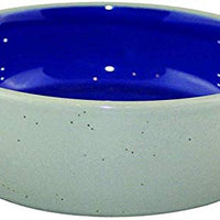 Plato de gres ético de 5.0 in para gatos o reptiles, individual - BESTMASCOTA.COM