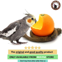 Aves Alimentador Bowl, Comida para pájaros con tazón Feed Copa para pequeños loros Cockatiels Conure hámster animal pequeño recipiente de agua potable para las Aves Jaula accesorios - BESTMASCOTA.COM