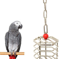 Wontee - Comedero para pájaros de acero inoxidable con forma de loro, juguete para pájaros con bloques para pájaros, loros, macaw y Cockatoo - BESTMASCOTA.COM