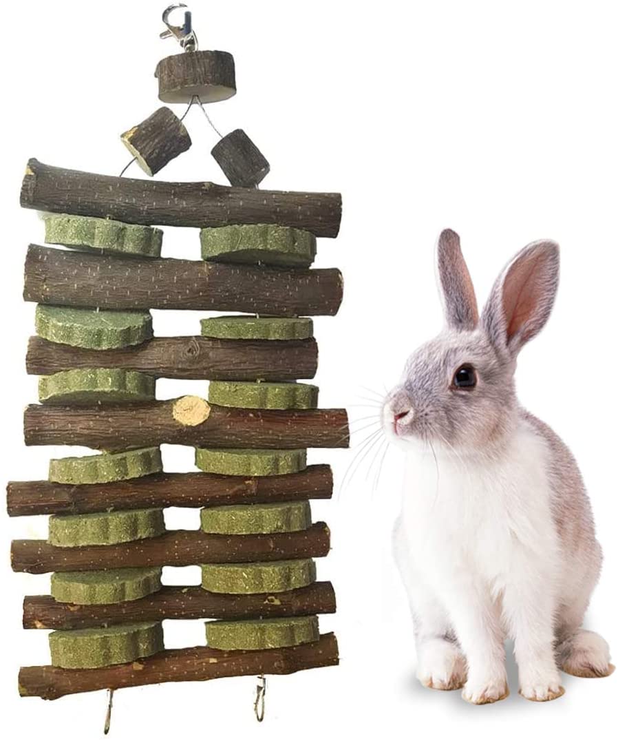 Kathson Conejo Masticar Juguetes Chinchilla Trata Conejo Masticar