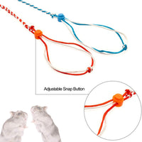 PAWCHIE - Correa ajustable para hámster, rata, hurón, ratón, ardilla, 2 unidades - BESTMASCOTA.COM