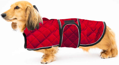 Geyecete Abrigo de invierno acolchado térmico cálido para perro con forro polar cálido, ropa para perro al aire libre con bandas ajustables para perros medianos, grandes - BESTMASCOTA.COM