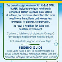 API ALGAE EATER WAFERS, Formulado para ayudar a los peces a usar más fácilmente nutrientes lo que significa menos residuos y agua limpia, alimentar dos veces al día la cantidad de alimentos que su pescado consumirá en 2 horas. - BESTMASCOTA.COM