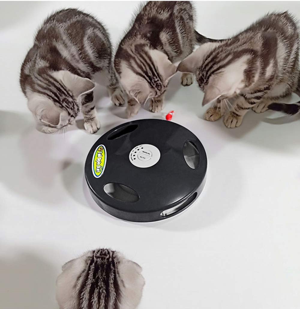 Juguete para gato robótico interactivo PetDroid, juguete para colgar eléctrico oculto con movimiento para gato y ratón, segunda generación (negro) (cola de ratón blanco) - BESTMASCOTA.COM