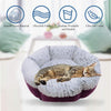 Esceneral Cama para mascotas para gatos y perros, tela suave de PV de calentamiento automático, cama para gatos de lino duradero y cama para perros pequeños - BESTMASCOTA.COM