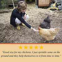 Scratch and Peck Feeds - Cluckin' Good Grit Supplement for Chickens and Ducks - 7-lbs - BESTMASCOTA.COM