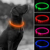 Collar de perro recargable por USB, LED, brilla en la oscuridad, collar para mascotas, resistente al agua, cortable, de TPU, para perros pequeños, medianos y grandes - BESTMASCOTA.COM