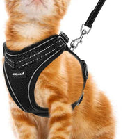 Juego de arnés y correa para gato, reflectante ajustable para gatos, para caminar al aire libre, con hebilla a prueba de escape, chaqueta de malla suave para gatos, cachorros - BESTMASCOTA.COM