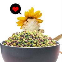 BNYEE - Comida de lagarto compuesta natural, 8.0 fl oz para reptil - BESTMASCOTA.COM