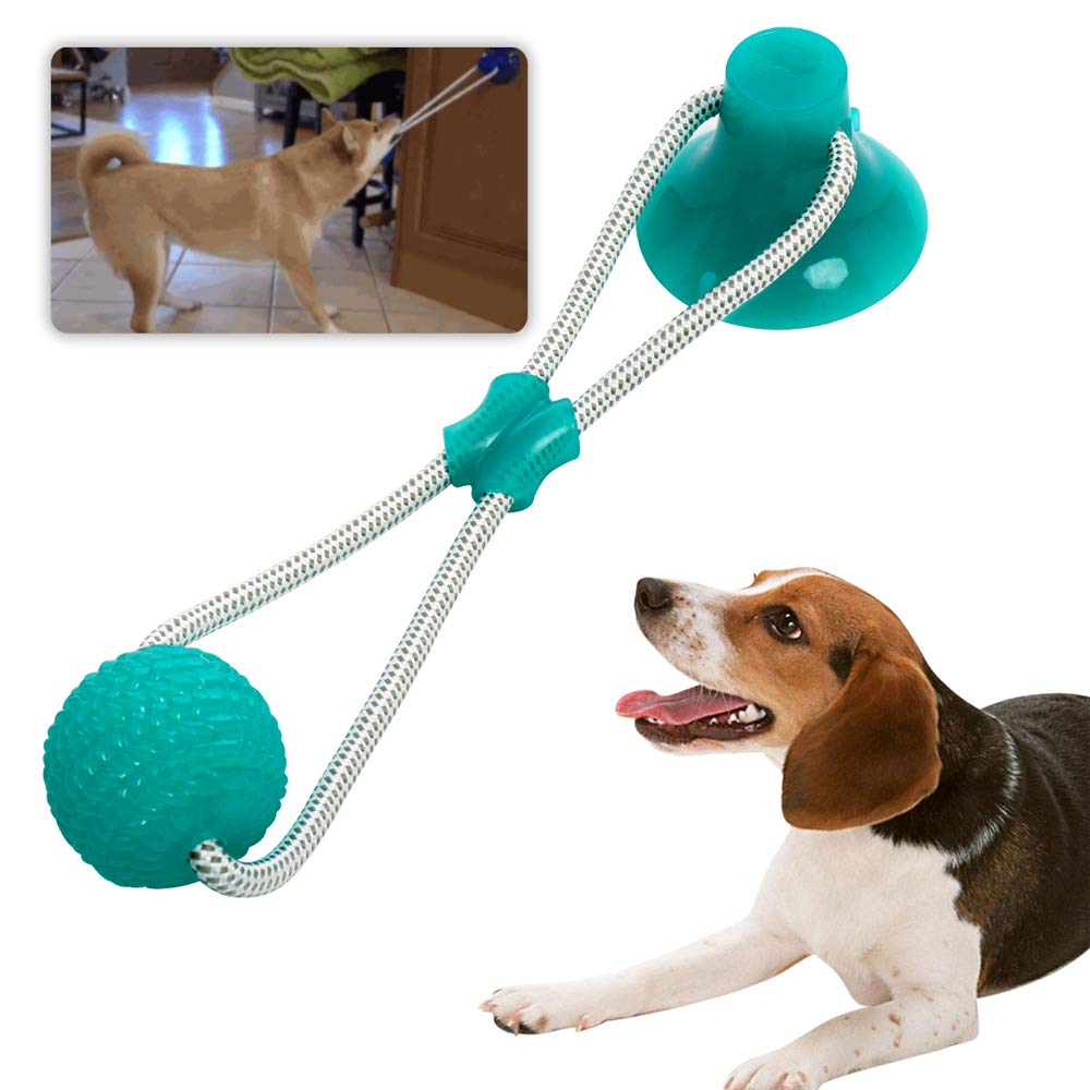 Pelota de goma para mascotas con ventosa, juguete interactivo para