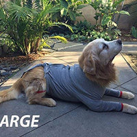Camiseta de protección post operatoria para perros, mejor que el cono La alternativa más cómoda para recuperación. - BESTMASCOTA.COM