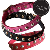 Outlaw Negro Studded piel Seguridad gato collar - BESTMASCOTA.COM