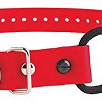 Educator - Collar elástico de cierre rápido - BESTMASCOTA.COM