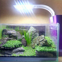 Lámpara LED para acuario de 10 W, muy delgada, 5730, para iluminación de plantas acuáticas (cuerpo blanco + luz azul) - BESTMASCOTA.COM