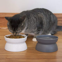 Kitty City - Comedero elevado, sin estrés, para gatos - BESTMASCOTA.COM