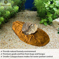 SunGrow hojas de cangrejo ermitaño, hojas secas para mayor humedad, delicioso tratamiento de cangrejo y fuente de celulosa - BESTMASCOTA.COM