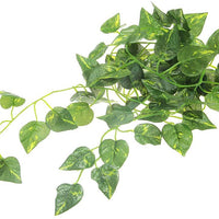 FACILLA Artificial Scindapsus vid para reptiles Lagarto camaleón Habitat decoración verde - BESTMASCOTA.COM